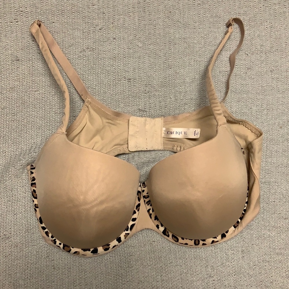 Cacique 40DD Cream Bra with Cheetah Accent